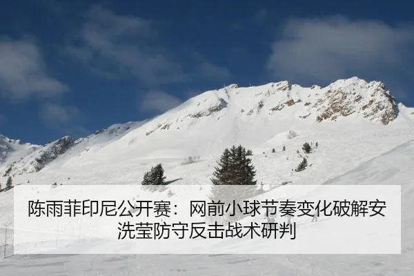 陈雨菲印尼公开赛：网前小球节奏变化破解安洗莹防守反击战术研判